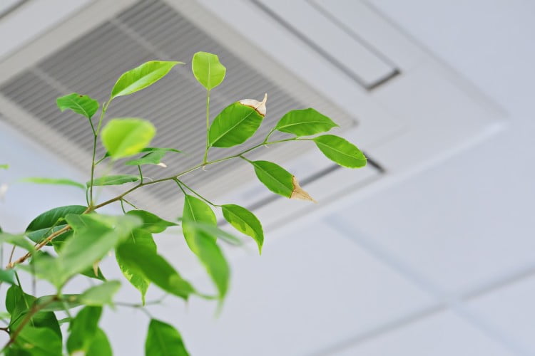 Common Signs of Poor Indoor Air Quality in Your Home